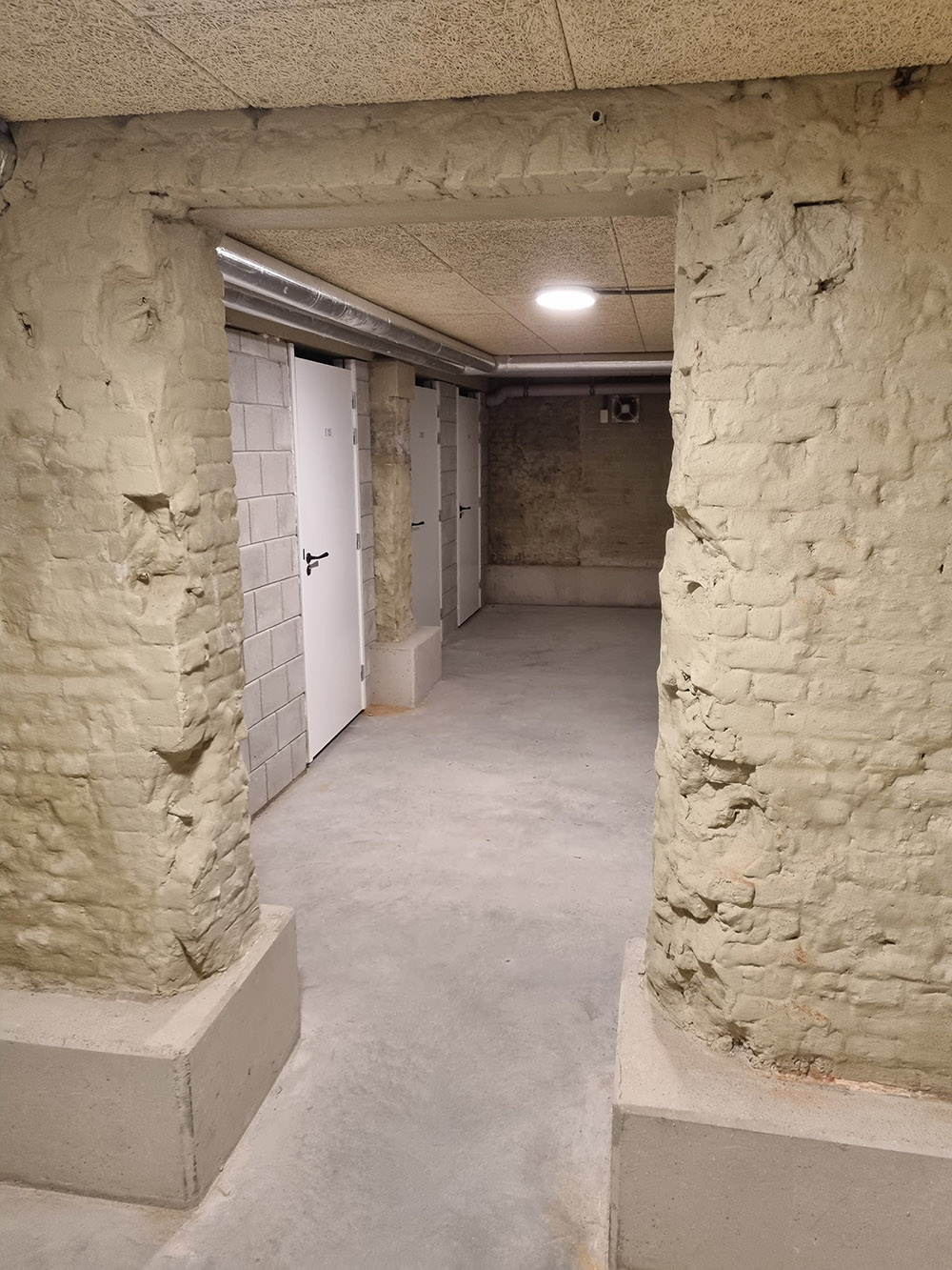 Kogelstiftpaumelles bij Ooglijdersgasthuis