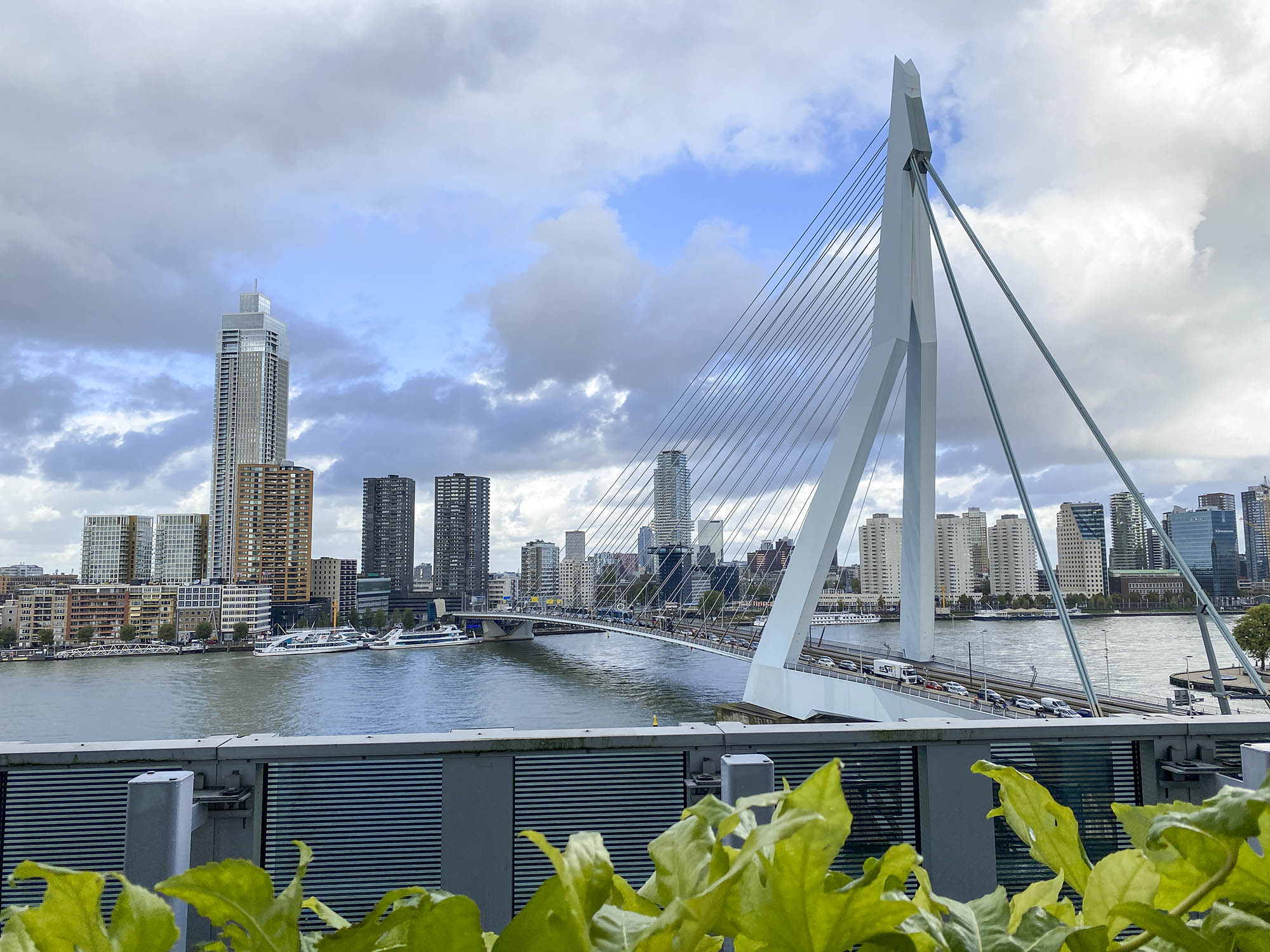 Erasmusbrug Rotterdam