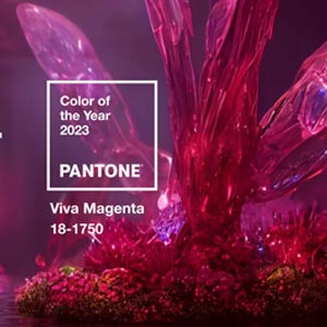 Viva Magenta kleur van 2023 Pantone