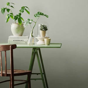 Nordic Green kleur van 2023 Karwei