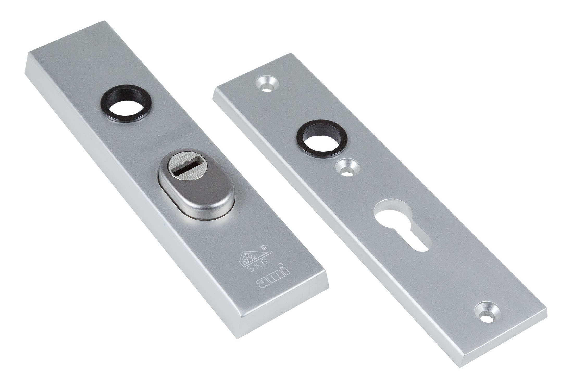 0170.700.0100 Veiligheidskortschild recht type 193/15 / PC55 kerntrekbeveiliging / SKG***®  F1 finish