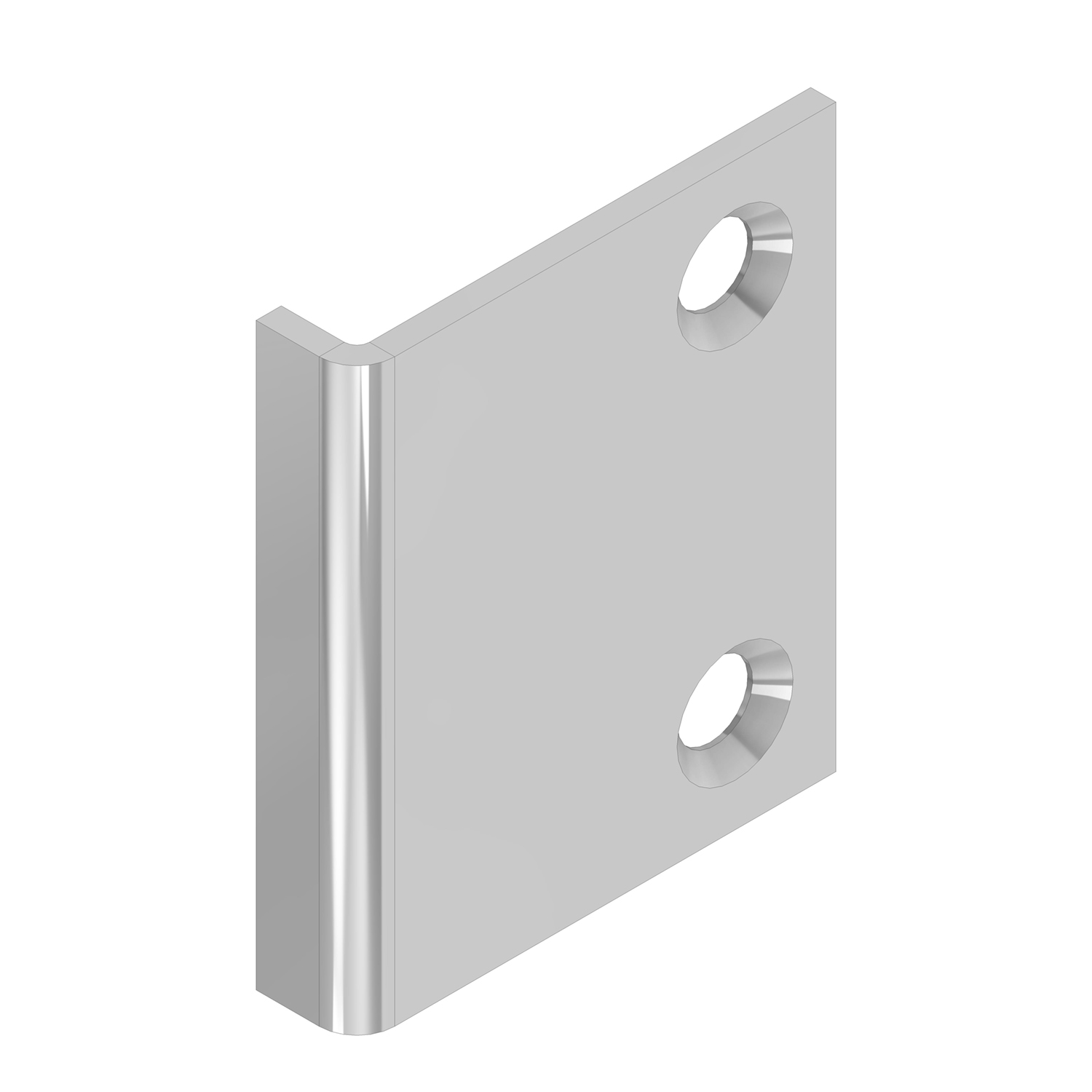 0821.020.0001 Sluitplaat / type SP 20 / fixatie d.m.v. schroeven / staal verzinkt / t.b.v. stalen en aluminium deuren
