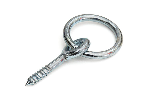 Ringbolts wood thread, galvanized